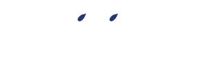 Ignite